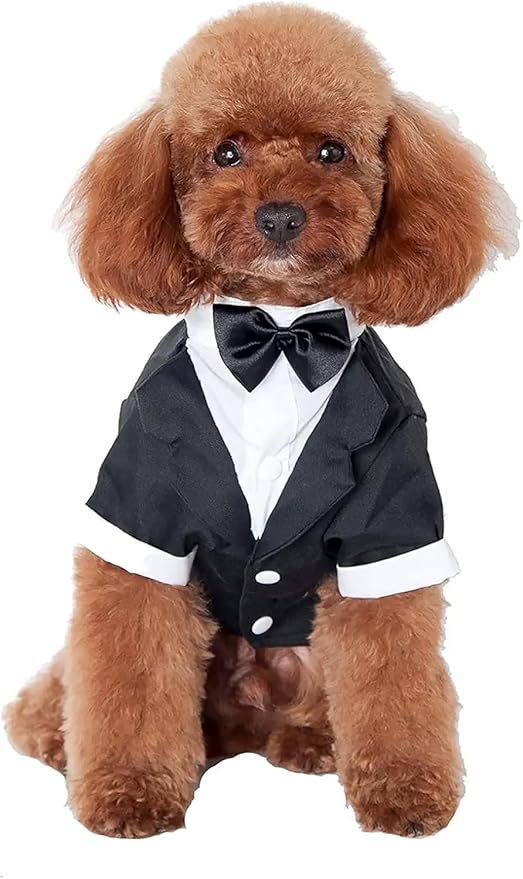 GabeFish Pets Wedding Jackets Suit for Dogs with Bow Tie Puppy Cat Formal Clothes Shirt Tuxedo (Black, M (Chest 15.3in/39cm)
