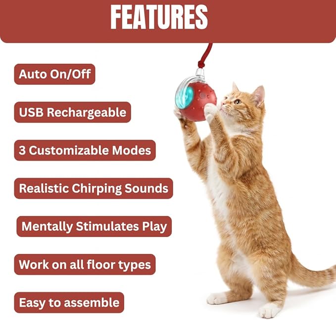 Interactive Cat Ball Toy with 3 Working Modes, Automatic 5-Minute Timer, Stimulate cat Hunting Instincts, Wand Teaser for Cats, Rechargeable, Suitable for All Floor (Red)