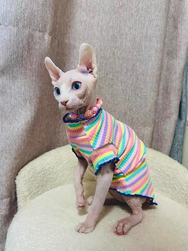 Sphynx Cat Clothes, Hairless Cat Shirt, Soft Stretchy Sweater for Cats, Breathable Cat Daily Outfit, Cat Pullover for Cornish Rex, Devon Rex (Rainbow Stripe, S (2.5-3.5lbs))