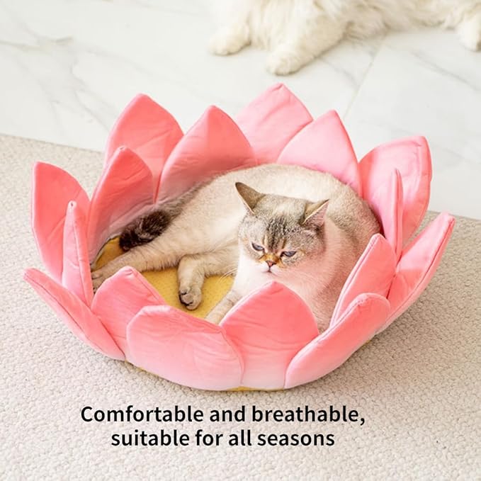 Scratching Board Toy Round Scratching Pad Anti-Scratch Post Corrugated Paper Lounge Bed Scratch Board for Boredom Interactive Toy Nest Bed Pet Supplies for Cats Furniture (Nest with Accessories)