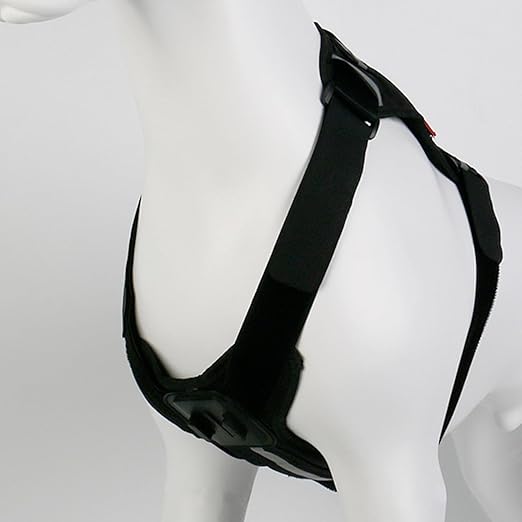 Adjustable Dog Harness Camera Dogs 8-35kg | Capture Perspectives While Playing