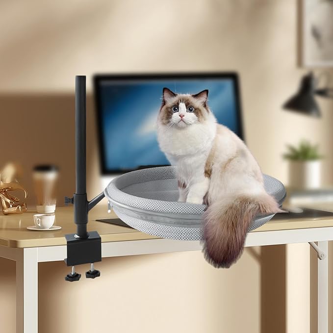 Cat Desk Bed Height Adjustable 360° Rotation Cat Perch for Desk Clamp Mount Elevated Kitten Furniture for Side Table Study Room- Mesh Cloth