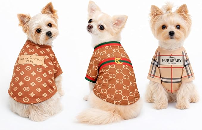 Luxury Designer Dog T Shirt – Trendy Puppy Clothes for Small Dogs, Fashion Pet Tee for French Bulldogs & Chihuahuas, Everything Chic Dog Apparel (GucchewiTee, Small)