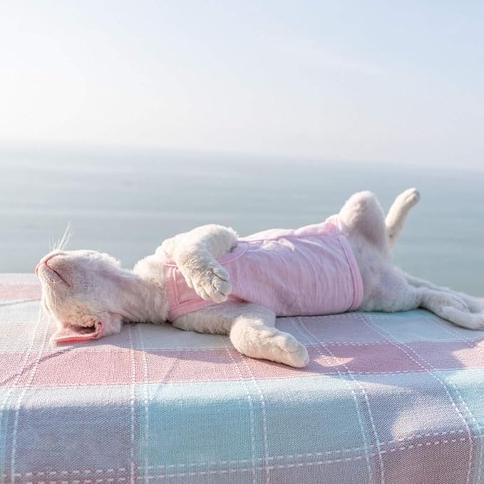 Hairless Cats Solid Cotton Camisole, Breathable Summer Tank Tops for Sphynx, Cornish Rex, Devon Rex, Peterbald, Cat Wear Hairless Cat Clothes Soft Skin-Friendly Cats Apparel Assorted Colors and Sizes