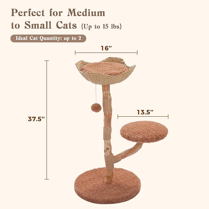 MUTTROS Modern Cat Tree Tower with Real Wood Branches and Wicker Basket Bed, Solid Wood Cat Climbing Furniture with Scratching Posts and 3 Hanging Balls for Indoor Cats, Brown