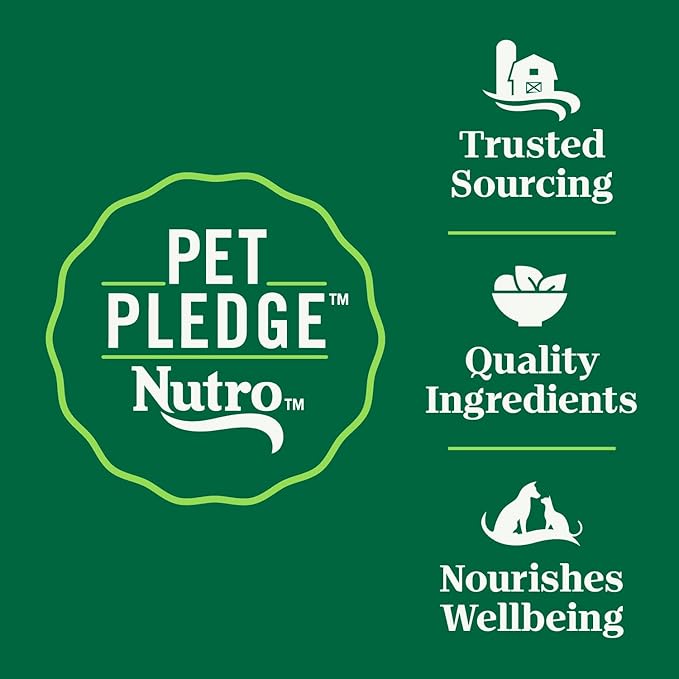 Nutro Wholesome Essentials Dry Cat Food, Indoor Cat Food Dry Chicken & Brown Rice Recipe, 14 lbs.