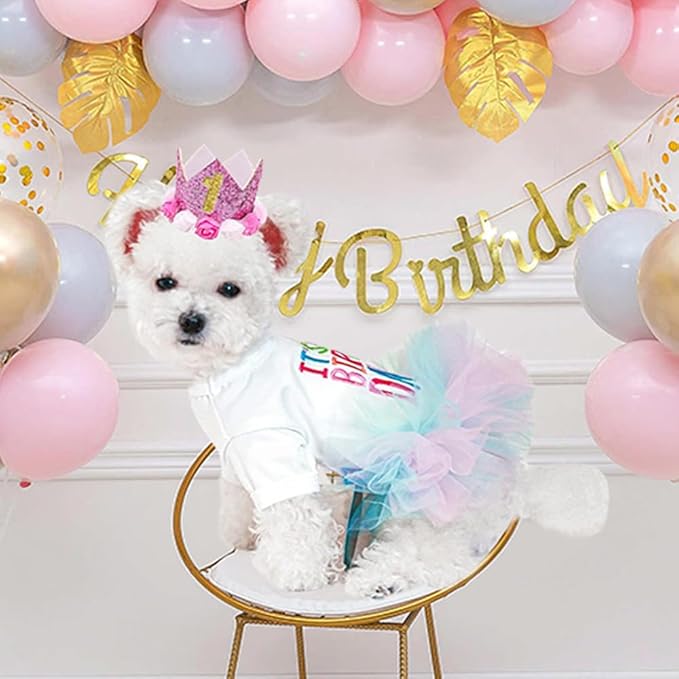 ANIAC Dog Birthday Dress and Hat Set Puppy Lace Tutu Pink Pet Crown Hat with 0-9 Figures Birthday Outfit for Cats Small Dog (White+Pink,Large)