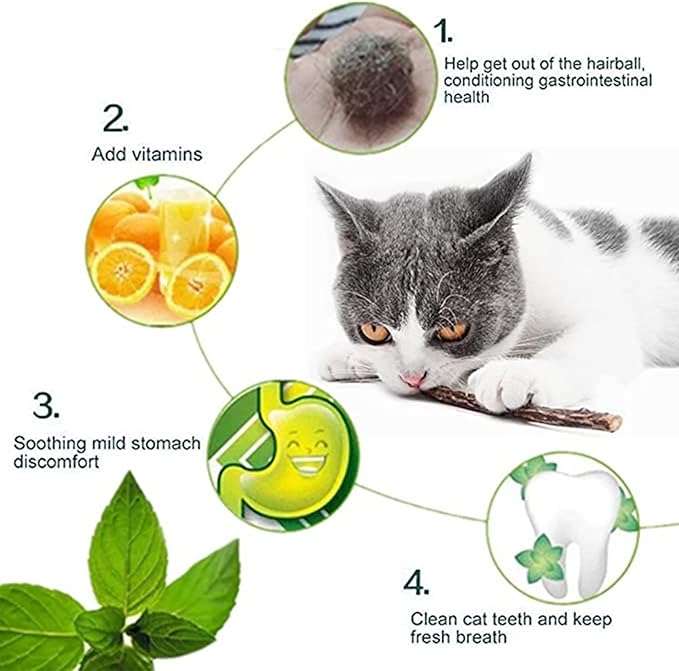 10 PCS Catnip Sticks Organic Cat Chew Toys Natural Plant Matatabi Silvervine Chew Sticks Teeth Cleaning Chew Toy Kitten Kitty