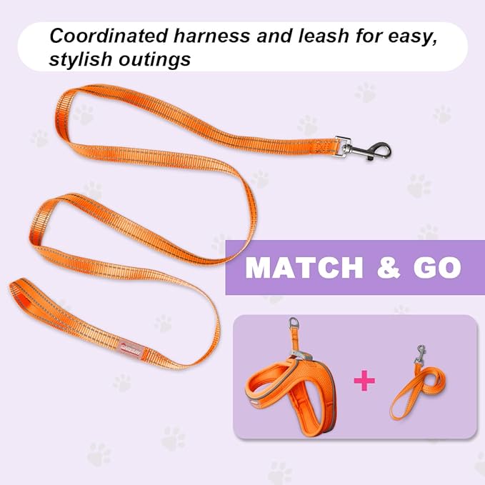 Cat Harness and Leash Set,Escape Proof Kitten Harness,Step in Adjustable Soft Lightweight,Easy Control,Reflective Strips Comfortable for Walking Travel(Orange,XS)