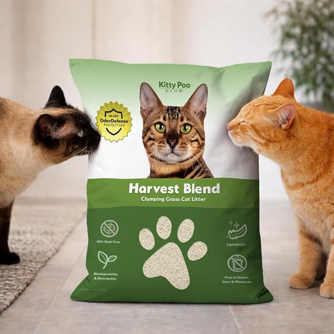 Kitty Poo Club Grass Cat Litter – Natural, Biodegradable Grass-Based Litter for Cats, Lightweight, Dust-Free, Superior Odor Control, Fast-Clumping Formula