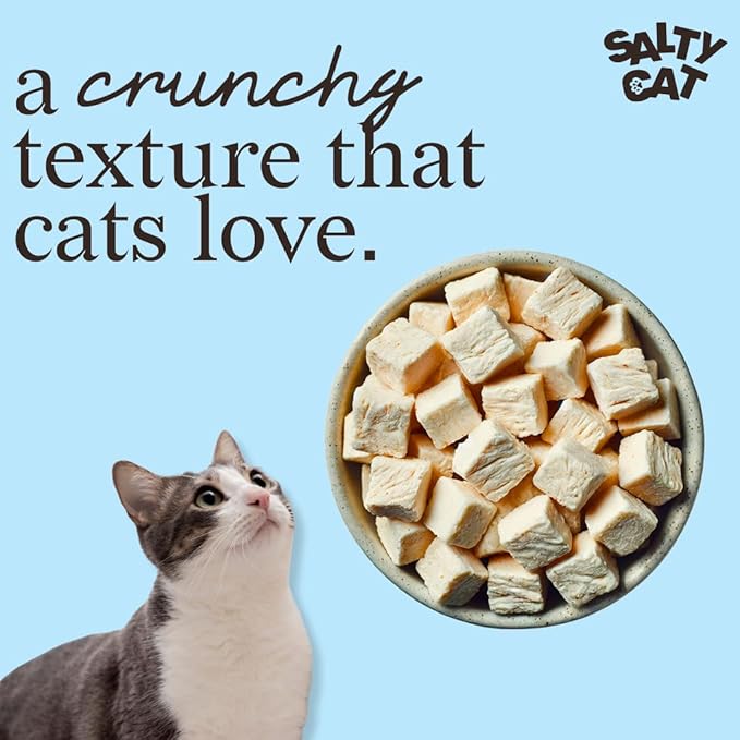 Salty Cat Natural Freeze-Dried Chicken Cat Treats, 10g Bag (12 Packs)
