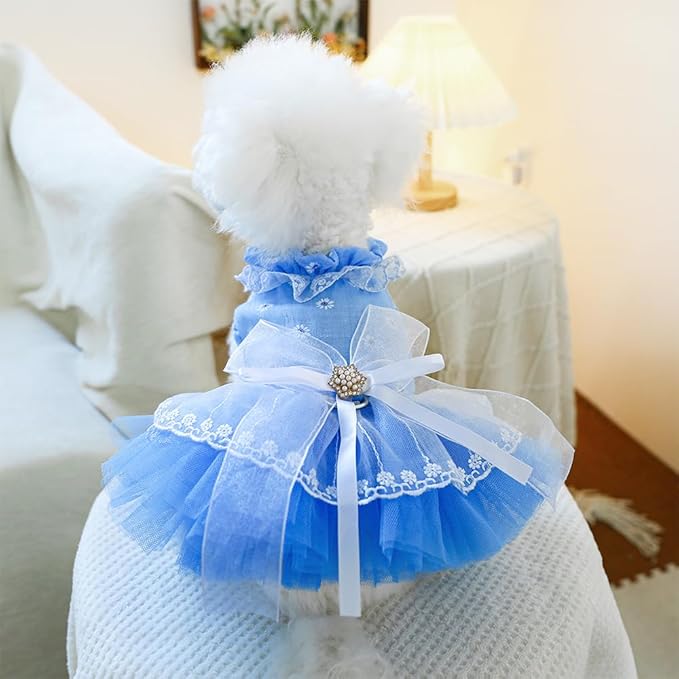 ANIAC Daisy Small Dog Dresses Female with Leash Ring,Bow Knot Girl Puppy Wedding Dress,Valentine's Cat Outfit,Fancy Pet Party Dress for Kitten Chihuahua Yorkie Pomeranian (Blue, X-Small)