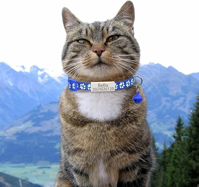 Personalized 2 Pack Reflective Cat Collar,Custom Breakaway Cat Collars with Name Tag and Bell,Anti-Lost Nameplate Cat Collar for Girls & Boys (Navy Blue,fit 8''-11.0'')