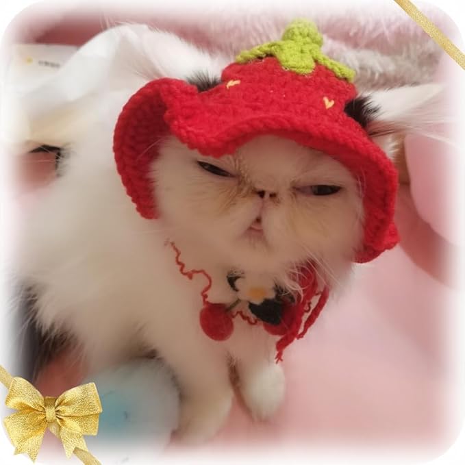 5 Pieces Cat Hat Adorable Cat Costume Outfit Bunny Hat with Ears Funny Mane Hat for Cats and Small Dogs Party Costume Accessory Headwear (Brown Bear-Flower-Starfish-Rabbit-Strawberry)-Not for Children
