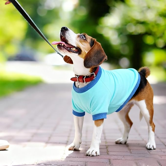 Classic Fleece Dog Sweater – Soft & Warm Stretchy Sweatshirt for Small Dogs & Cats, Cold-Weather Pullover for Everyday Wear (Light Blue, Medium)