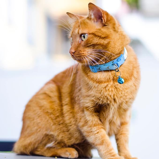 5 PCS Adjustable Moons and Stars Kitten Collars with Bell, Perfect for Pet Supplies, Safety Buckle (5 Colors)
