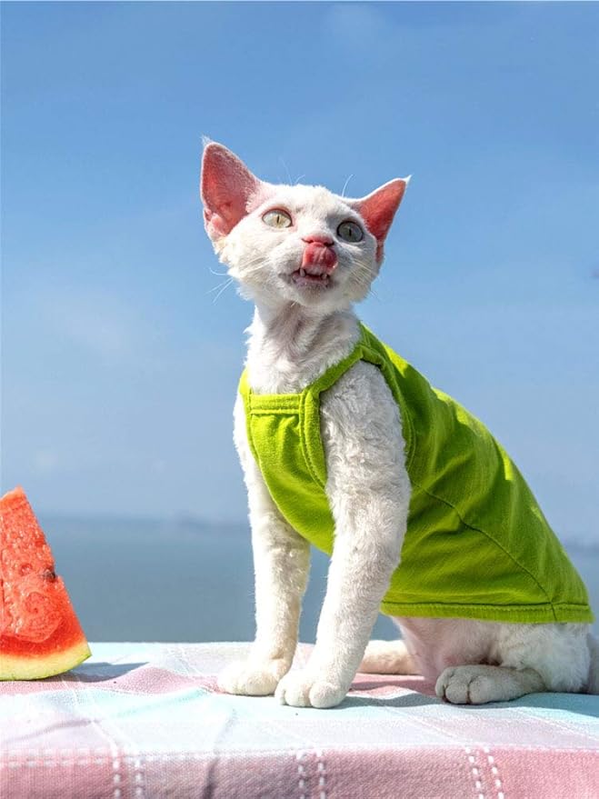 Hairless Cats Solid Cotton Camisole, Breathable Summer Tank Tops for Sphynx, Cornish Rex, Devon Rex, Peterbald, Cat Wear Hairless Cat Clothes Soft Skin-Friendly Cats Apparel Assorted Colors and Sizes