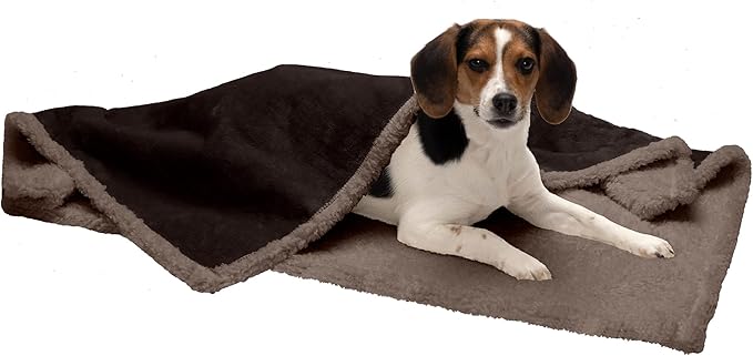 Furhaven Waterproof & Self-Warming Throw Blanket for Dogs & Indoor Cats, Washable & Reflects Body Heat - Soft-Edged Terry & Sherpa Dog Blanket - Espresso, Medium