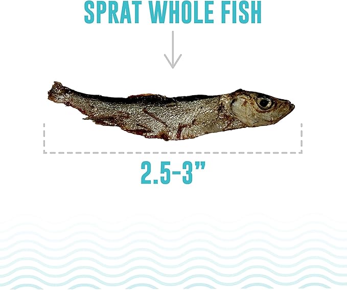 Icelandic+ Whole Fish: Sprat - 0.85oz Bag - Cat Treats, Wild- Caught, 2.5-3" Crunchy Air-Dried Pet Snacks, Single Ingredient, Just Fish-Nothing Else