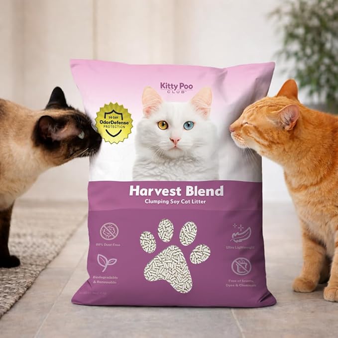 Kitty Poo Club Advanced Soy Cat Litter – Natural Plant-Based, Unscented, Fast Clumping, Flushable, Low Tracking, 99% Dust-Free