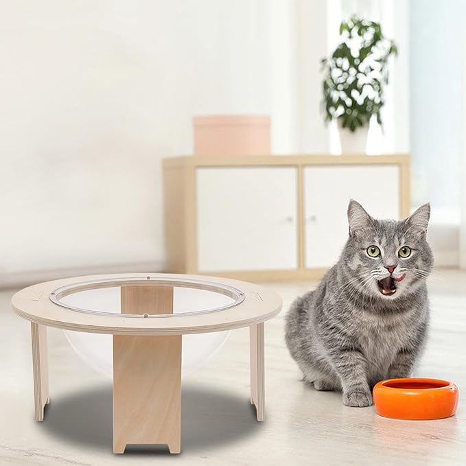 Clear Capsule Cat Bed 44×20 cm, Transparent Acrylic Calming Small Pets Bed with Breathable Holes, Raised Dome Window Lounger for Indoor Kitten Puppy, Stackable Modern Pet Furniture