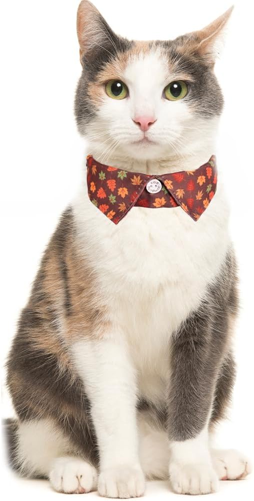 Fall Cat Collar Thanksgiving Day Breakaway with Bow Tie and Bell Autumn Holiday for Kitty Adjustable Safety