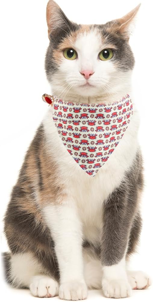 Cat Collar Breakaway with Cute Bandana and Bell Accessories for Kitty Adjustable Safety