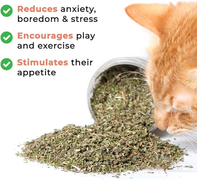 Whiskertons Hurrb Catnip for Cats & Kittens, 100% Natural & Safe Catnip Treats Used for Refillable Catnip Toys & Accessories, 1 Ounce