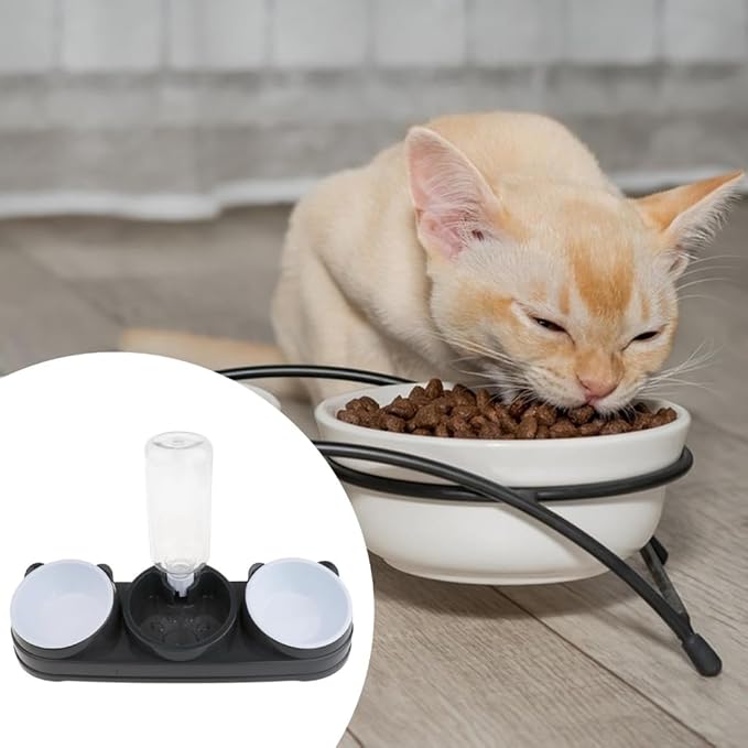 Pet Double Bowl Feeder with Water Dispenser for Dog Cats Feeding Watering Bowl Treats Dry Food Dish Pet Home Dishware