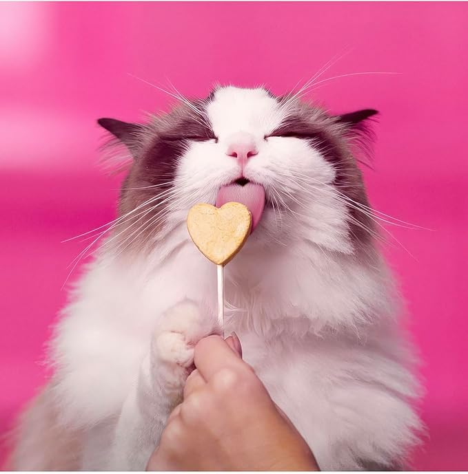 Bonkers Purr Pops Tip Top Tuna Freeze-Dried Cat Treats with Colorful Spring Toys, 4 Count Individually Wrapped Lollipops, 2 Pack