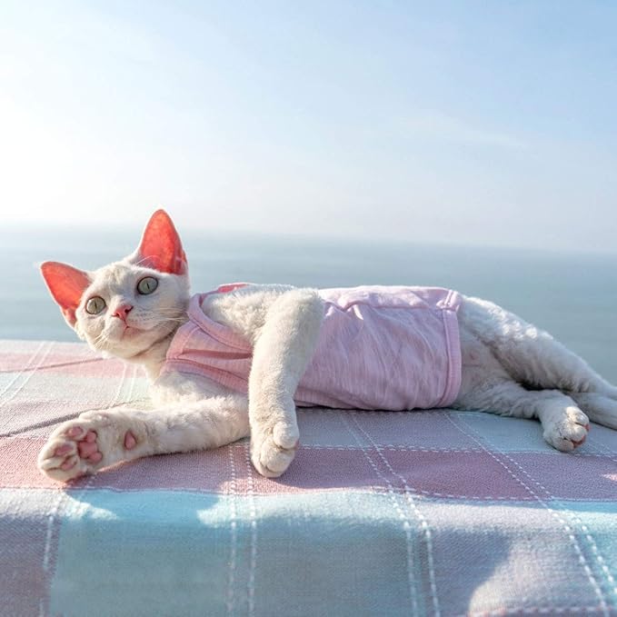 Hairless Cats Solid Cotton Camisole, Breathable Summer Tank Tops for Sphynx, Cornish Rex, Devon Rex, Peterbald, Cat Wear Hairless Cat Clothes Soft Skin-Friendly Cats Apparel Assorted Colors and Sizes