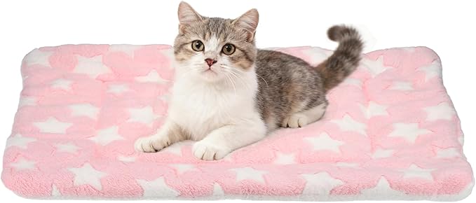 Dog Cat Bed Mat, Soft Coral Fleece Pet Cushion Pad with Cute Stars Print, Warm Washable Pet Bed 23x18 Inches, (Pink), Intended for Medium Small Dog Cat