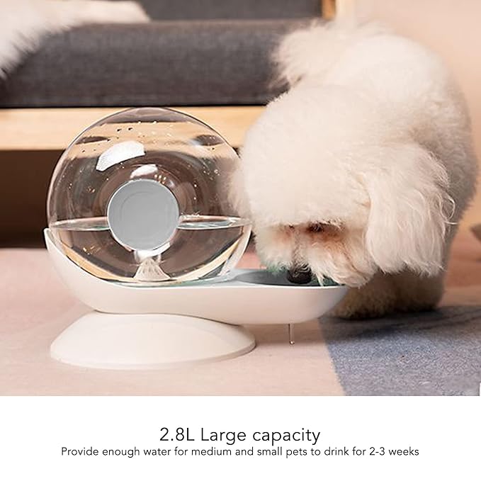 Pet Water Dispenser Snail Shape Automatic Water Drinking Fountain 2.8L Large Capacity for Dogs and Cats (Gray)
