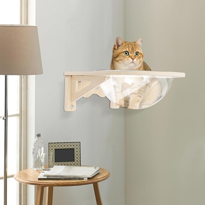 Transparent Cat Window Perch and Wall Shelves with 5 Strong Suction Cups, Cat Wall Capsule Bed Floating Pet Nest for Indoor Cats Climbing and Sleeping, Space-Saving Furniture