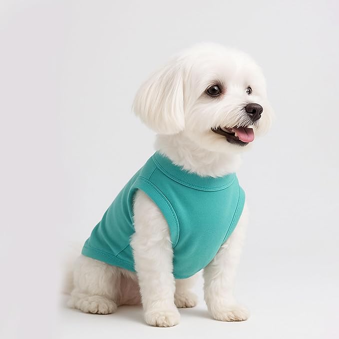 2 Pieces Dog Clothes for Small Dogs Girl Boy Spring Summer Puppy Soft Dog Shirt Solid Color Chihuahua Clothes Pet Clothing Cute Cat Cloth XXS~M (Cyan,Dark Green, Medium)