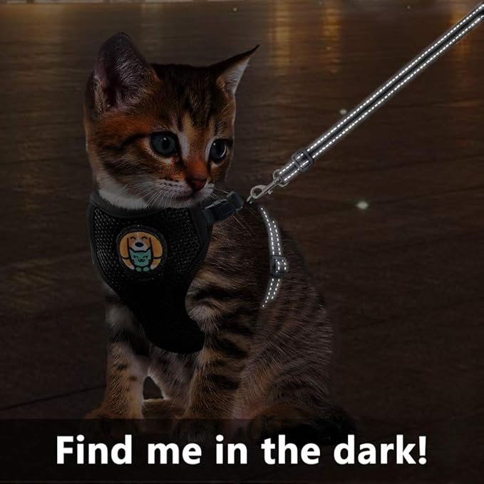 AWOOF Reflective Kitten Harness and Leash Escape Proof with Car Seat Belt, Adjustable Cat Puppy Walking Jacket with Metal Leash Ring