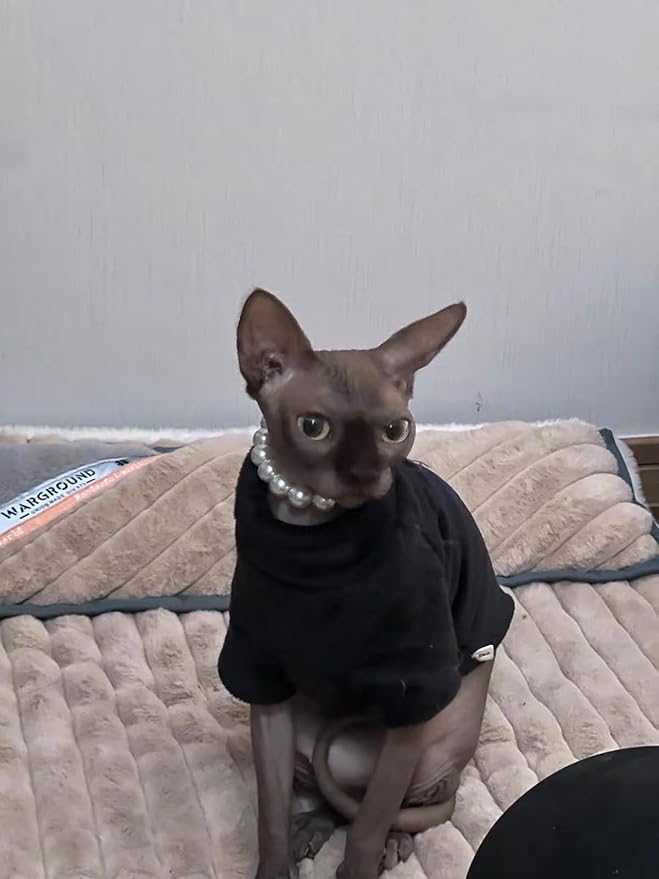 Sphynx Cat Clothes Winter Turtleneck Soft Coral Fleece Cat Clothes Thicken Warm Pajamas Coat for Hairless Cats and Small Cat Apparel with Sleeves (Black, L (6-9.3lbs)