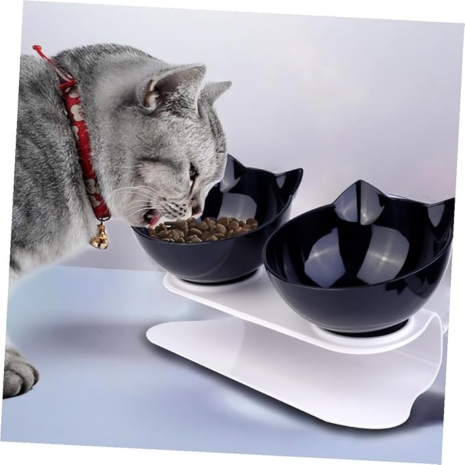 Double Plastic Cat Bowl with Raised Slanted Design, Black Dual Pet Feeding and Watering Bowl, Anti-Spill Tilted Food and Water Dish for Cats and Dogs