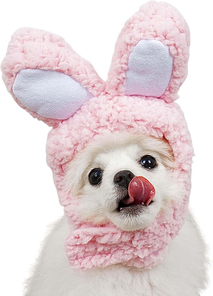 Qiansail Lion Mane Wig for Cats, Funny Bunny Ears Cute Dog Hats Cat Apparel Costume Pet Clothing Accessories for Halloween Cosplay Party