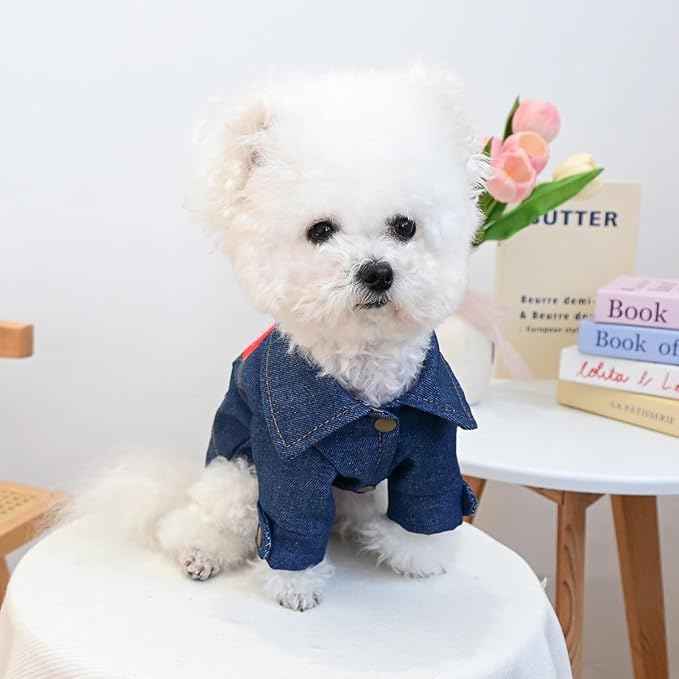 Premium Denim Jacket for Dogs & Cats – Reinforced D-Ring, Embroidered Heart “Thank You for Existing” Patch, Soft Jean Outfit for Small Pets(L)