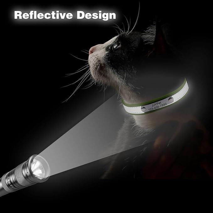 Personalized Reflective Cat Collars with Name Tag and Plated,Engraved Custom Cat Collar with Name and Phone,Kitten Collar with Safety Buckle Adjustable for Cats and Kitten(Blue)