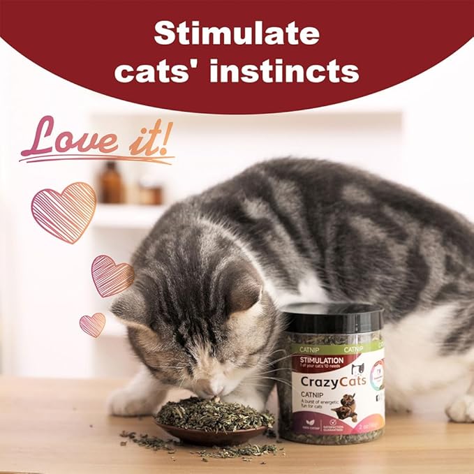 100% Natural Catnip and Pure Catnip for Your Furry Friend Taste Funny Cat Toy New Cat Toy Interactive Cat Toys Pet Supplies