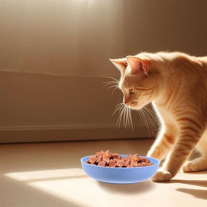 VICASKY 12pcs Shallow Plastic Cat Bowls for Feeding and Watering Indoor Cats Kitten Food Dish Wide Whisker-Friendly Pet Supply Set in Beige Pink and Blue