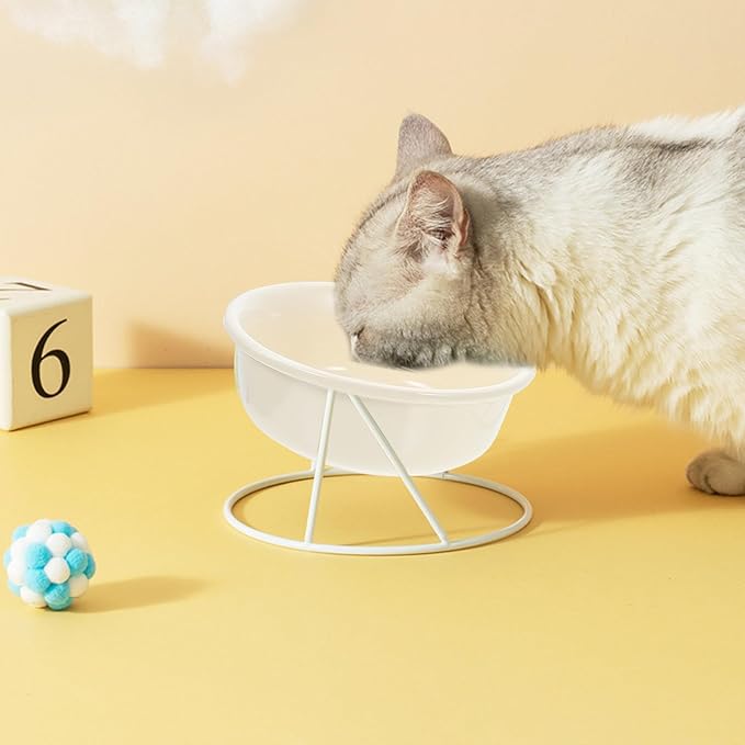 TEHAUX Elevated Ceramic Cat Bowl with Iron Rack, Neck Guard Pet Feeder for Cats and Small Dogs, Raised Food and Water Bowl Suitable for Indoor Feeding