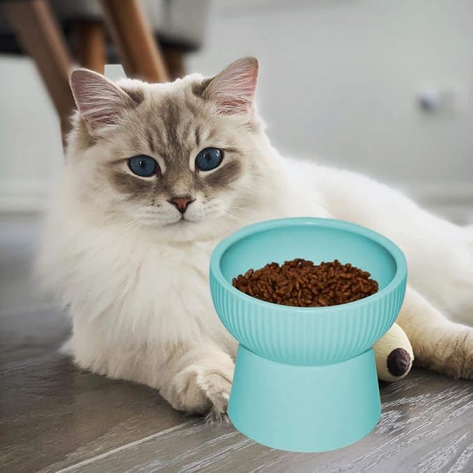 Raised Cat Food Bowl, Stress Free, Backflow Prevention, Elevated Cat Food Bowl Water Bowls with Stand, Porcelain,Dishwasher and Microwave Safe,Green