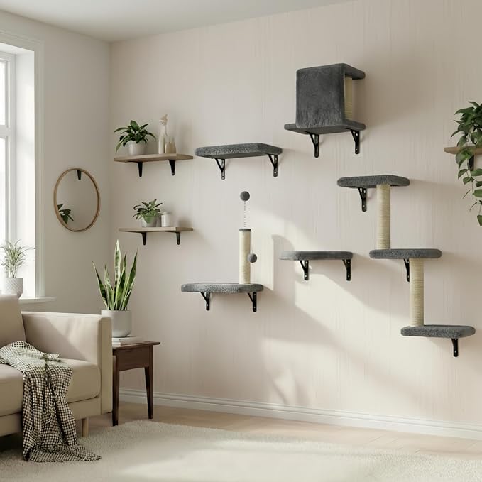 Cat Wall Shelves for Large Cats, Stable & Safe Kitty Walls Furniture Set for 40LBS Cats with Wooden Cat Climber,House, Bridge, Tree, Steps, and Scratcher for 16 Inch Drywall (Black, 6-in-1)