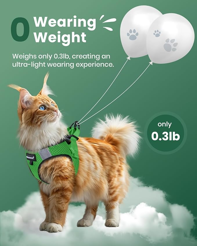 FAYOGOO Cat Harness, Cat Leash and Harness Set for Walking Escape Proof, Harness for Small Cats/Small Dogs, Large Kitten/Puppy Harness and Leash, Harness for Cats S-XXL(Neon Green, X-Large)