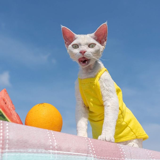 Hairless Cats Solid Cotton Camisole, Breathable Summer Tank Tops for Sphynx, Cornish Rex, Devon Rex, Peterbald, Cat Wear Hairless Cat Clothes Soft Skin-Friendly Cats Apparel Assorted Colors and Sizes