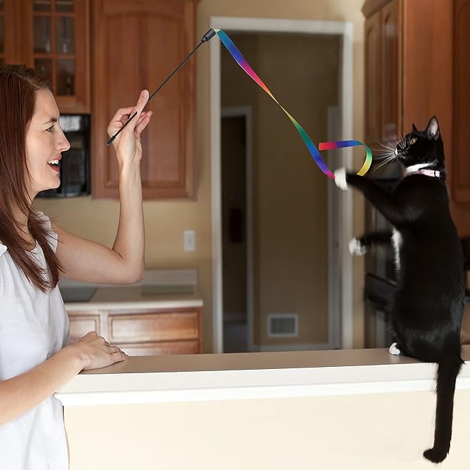 Molain Cat Wand Interactive Toy, 5 Sets Colorful Fabric Ribbon Sticks, Indoor Interactive Cat String Toy