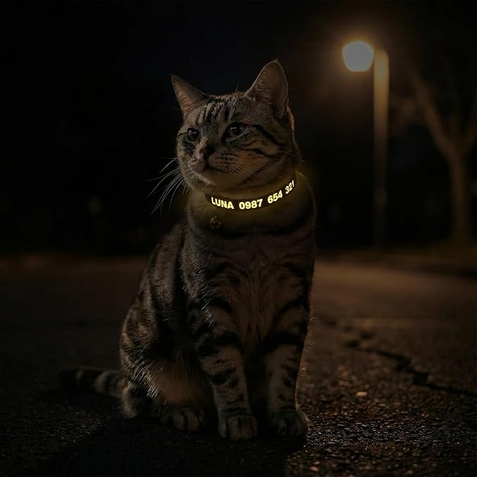 Personalized Custom Cat Collar, Glow in the Dark Text, Soft Corduroy, Metal Breakaway Safety Buckle, Adjustable for Kitten & Cats (Breakaway)